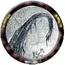 RPTok